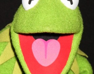 Photo of Kermit the Frog